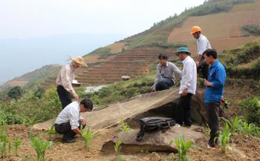 Cán bộ Bảo tàng tỉnh Yên Bái thống kê, lập hồ sơ về bãi đá với những hình khắc cần nghiên cứu, giải mã.