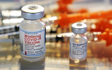 Pfizer và Moderna là hai loại vaccine Covid-19 được sử dụng cho chương trình tiêm mũi tăng cường tại Australia.