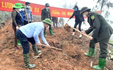 Lãnh đạo Chi cục Kiểm lâm tỉnh cùng lãnh đạo huyện Trấn Yên tham gia trồng tre măng Bát độ cùng người dân xã Lương Thịnh, huyện Trấn Yên.