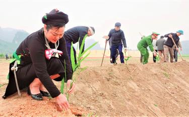Cán bộ, nhân dân xã Minh Chuẩn, huyện Lục Yên ra quân trồng cây đầu xuân Quý Mão 2023.