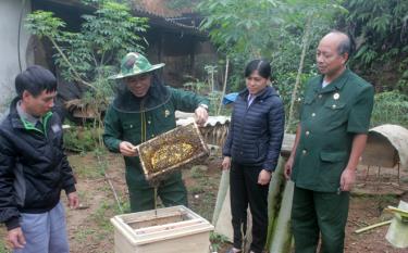 Mô hình nuôi ong của hội viên cựu chiến binh xã Hán Đà cho thu nhập trên 100 triệu đồng/năm.
