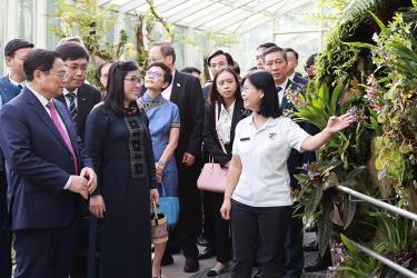 Thủ tướng Phạm Minh Chính cùng Phu nhân Lê Thị Bích Trân dự lễ đặt tên hoa lan ở Vườn thực vật Singapore.