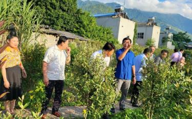 Du khách trong không gian sản xuất nông nghiệp ở MuongLo farmstay bản Mường ở xã Phúc Sơn.