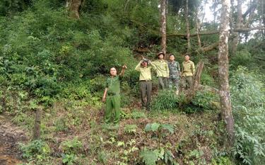 Cán bộ kiểm lâm Mù Cang Chải tăng cường tuần tra, kiểm tra rừng.