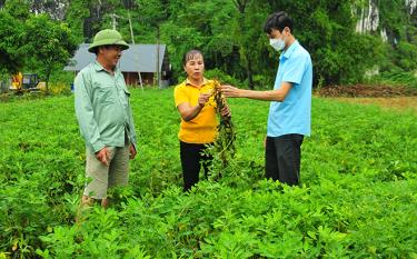 Các đảng viên Chi bộ thôn Làng Mới, xã Mông Sơn, huyện Yên Bình trao đổi kinh nghiệm sản xuất.