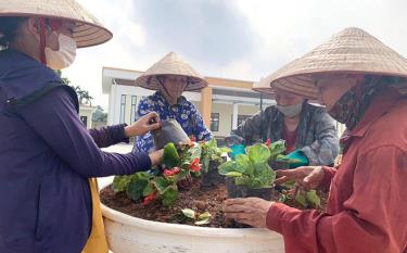 Hội viên phụ nữ phường Hợp Minh đóng góp tiền, công lao động trồng tuyến đường hoa vào cổng UBND phường.