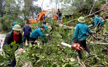 Nhiều cây cối lâu năm, có giá trị kinh tế lớn nhưng người dân tình nguyện chặt hạ để giải phóng mặt bằng.