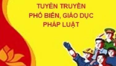 (Hình minh họa)