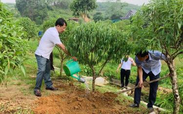 Lãnh đạo thành phố Yên Bái tham gia trồng cây xanh trong phạm vi xây dựng “Khu dân cư Xanh - Hạnh phúc” tại thôn Trực Bình, xã Minh Bảo.