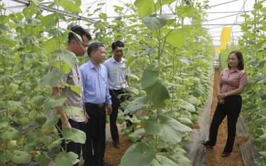 Lãnh đạo Hội Nông dân tỉnh kiểm tra việc thực hiện các dự án được vay vốn từ nguồn Quỹ hỗ trợ nông dân tỉnh tại huyện Trấn Yên