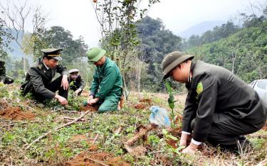 Cán bộ kiểm lâm huyện Lục Yên hướng dẫn người dân trồng rừng