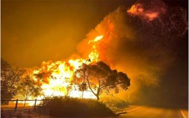 Hình ảnh cháy rừng tại Australia.