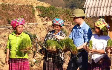 Lãnh đạo huyện Trạm Tấu kiểm tra tiến độ sản xuất lúa xuân tại xã Xà Hồ
