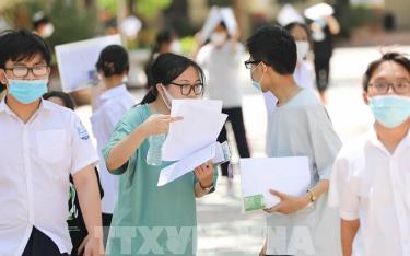 Thí sinh dự tuyển dafabet linko lớp 10.