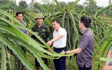 Trong lĩnh vực phát triển kinh tế, huyện Yên Bình có 82 mô hình Dân vận khéo.