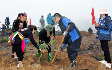 Nhân dân xã Quy Mông, huyện Trấn Yên tham gia trồng cây hưởng ứng Tết trồng cây Xuân Giáp Thìn năm 2024

