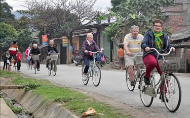 Du khách nước ngoài trải nghiệm, khám phá các làng bản của người Thái Nghĩa Lộ bằng xe đạp.