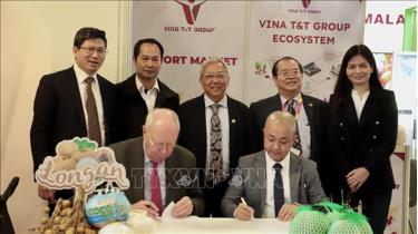Ký kết bản ghi nhớ giữa Công ty TNHH Vina T&T với Công ty Golden Gate Bce B.V (Hà Lan) về hợp tác phân phối và tiêu thụ sản phẩm trái cây và rau củ của Việt Nam.