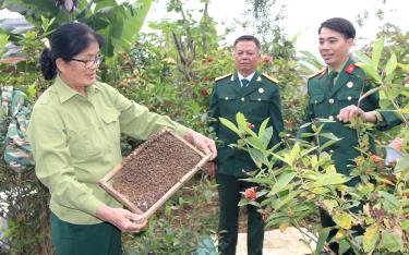 Mô hình nuôi ong lấy mật của hội viên Hoàng Thị Lan ở thôn 5, xã Minh Quán, huyện Trấn Yên mang lại hiệu quả kinh tế cao.