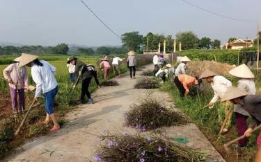 Nhân dân xã Báo Đáp, huyện Trấn Yên tham gia trồng các tuyến đường hoa.