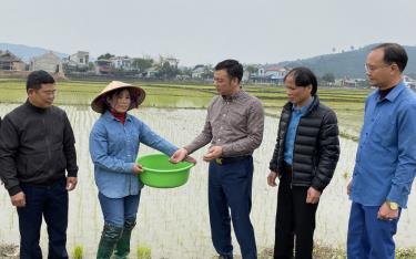 Lãnh đạo Phòng Nông nghiệp và Phát triển nông thôn huyện Văn Yên kiểm tra sản xuất vụ xuân năm 2025 tại thôn Đại Thắng, xã Đại Phác.