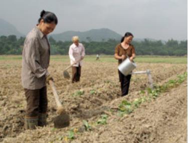 (Ảnh minh hoạ). (Ảnh: Thành Trung).