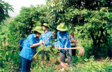 Thanh niên tình nguyện tham gia lao động giúp dân.