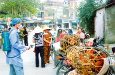 Cán bộ Trạm Thú y thành phố Yên Bái phun thuốc khử trùng tiêu độc cho các tiểu thương bán gà. (Ảnh: Phí Đức Long)