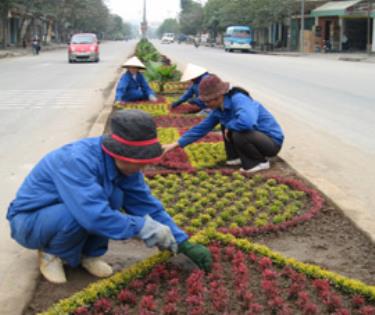 Hoa cuộc đời. (Ảnh Tuấn Anh)