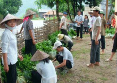 Nông dân Văn Chấn giao nhận chè giống.