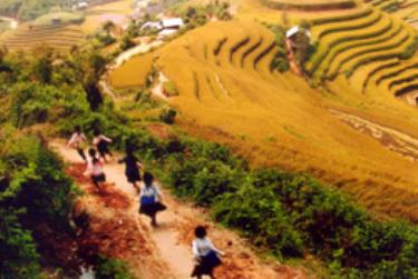 Bản làng no ấm, ngày càng nhiều trẻ em dafabet dang nhap Mông Mù Cang Chải được đến trường.
(Ảnh: Quách Hùng)
