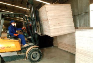 Công nhân Công ty cổ phần Phát triển Quy Mông tập trung sản xuất từ đầu xuân để đáp ứng sản phẩm chất lượng cao cho khách hàng.

