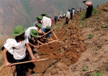 Thanh niên tình nguyện tham gia khai hoang ruộng cạn tại thôn Chống Tầu, xã Làng Nhì (Trạm Tấu).
