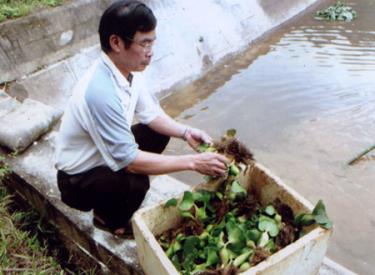 Ông Trắng Văn Tươi - Trại trưởng Trại giống Thủy sản Yên Bình kiểm tra trứng cá trước khi cho ấp trong ao.