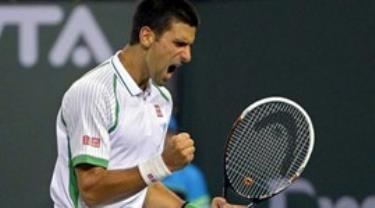 Tay vợt người Tây Ban Nha David Ferrer.