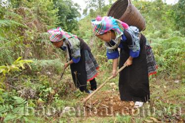 Trạm Tấu tập trung tuyên truyền, quản lý chặt chẽ các hoạt động đốt nương, đốt dọn thực bì nhằm hạn chế cháy rừng.