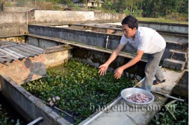 Anh Cửu chăm sóc ba ba.