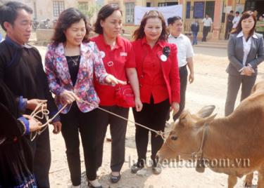 Lãnh đạo Trung ương Hội Chữ thập đỏ Việt Nam trao bò cho người dân.