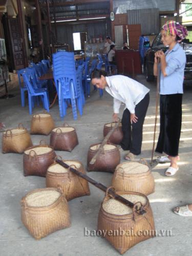 Gạo nếp Tú Lệ được tư thương thu mua tự do nên dễ bị trà trộn.