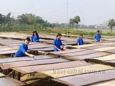 Mô hình sản xuất miến của Hiếu thu hút nhiều bạn trẻ đến tìm hiểu, học tập. (Ảnh: Thu Hiền)