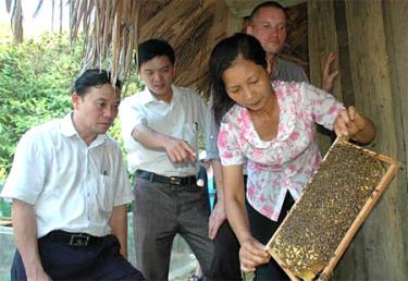 Lãnh đạo xã Cảm Ân thăm mô hình nuôi ong lấy mật cho hiệu quả kinh tế cao của gia đình chị Nguyễn Thị Thoa ở thôn Ngòi Cát.
