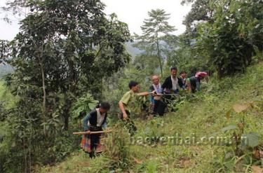 Cán bộ kiểm lâm huyện Văn Chấn hướng dẫn đồng bào Mông xã Suối Bu cách làm đường ranh cản lửa. 
