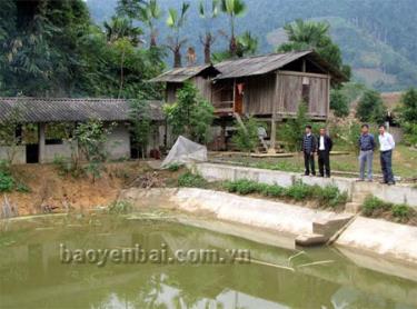 Nhờ các chính sách hỗ trợ, đồng bào vùng cao Văn Yên đã hình thành nhiều mô hình kinh tế mang lại thu nhập cao.
Ảnh: Mô hình kinh tế tổng hợp VACR của đồng bào dân tộc thiểu số xã Phong Dụ Thượng, huyện Văn Yên.