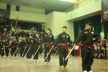 TP. Hồ Chí Minh giành giải nhất toàn đoàn Cúp vô địch Võ thuật cổ truyền toàn quốc lần thứ IV.