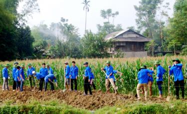 Tuổi trẻ luôn xung kích đi đầu trong các phong trào tình nguyện
