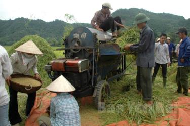 Nông dân xã Đại Phác đưa cơ giới hóa vào phục vụ sản xuất, góp phần nâng cao năng suất lao động.