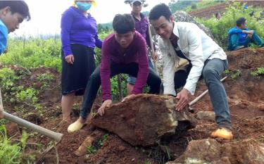 ĐVTN xã Hát Lừu tham gia khai hoang ruộng nước tại thôn Khấu Ly, xã Bản Mù.