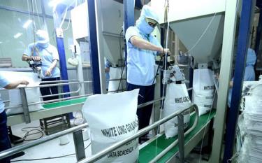 Rice is packaged for export at the factory of the Song Hau Food Company in Can Tho city.