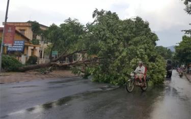 Người dân cần chú ý và theo dõi các bản tin thời tiết để chủ động ứng phó với dông lốc có thể xảy ra. (Ảnh minh họa)