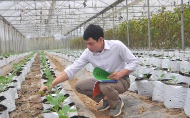 Anh Đinh Xuân Trung tlink vào dafabet xuyên kiểm tra và ghi chép để theo dõi sinh trưởng, phát triển các loại rau, củ.